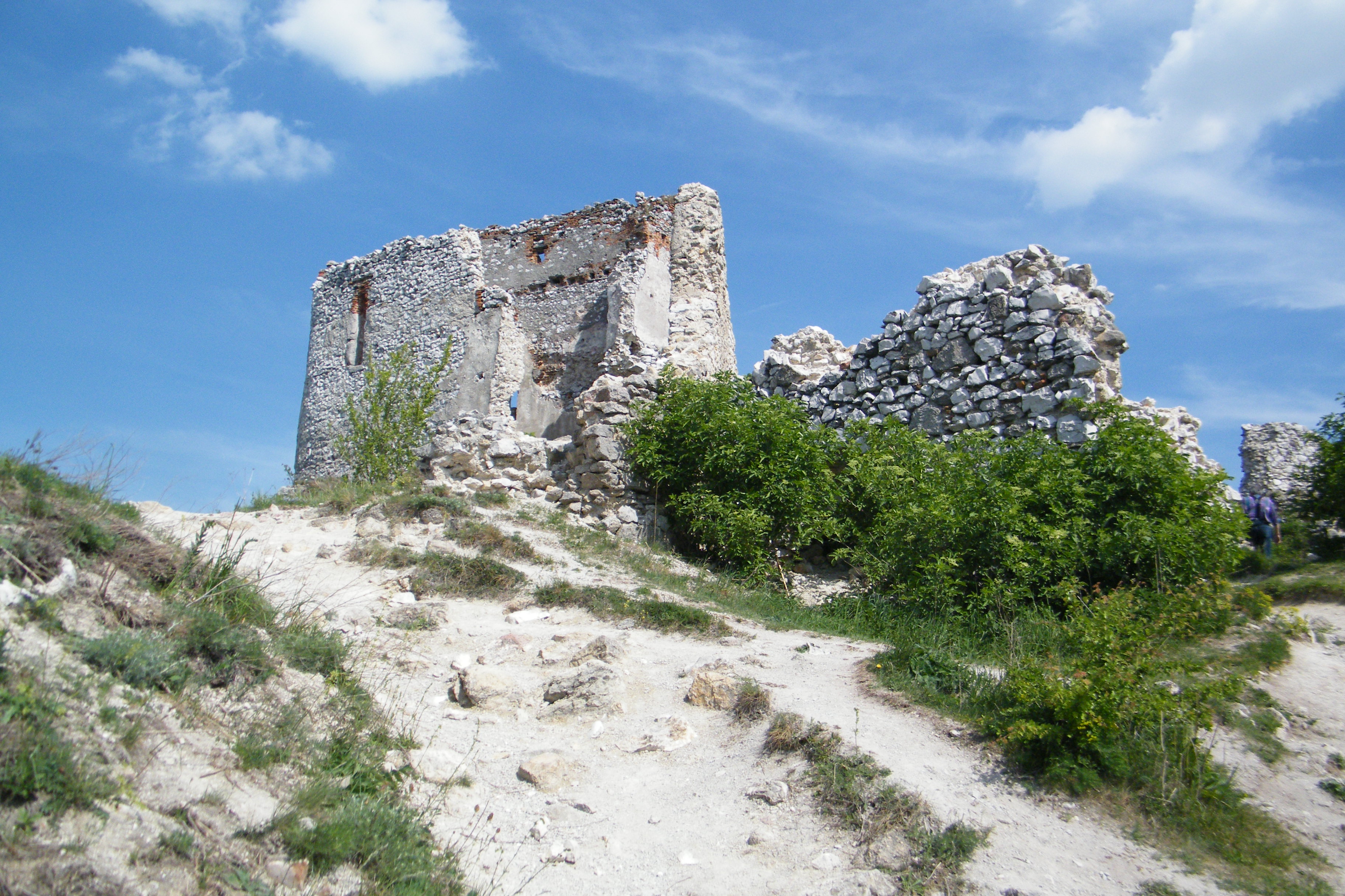 DSCF2454